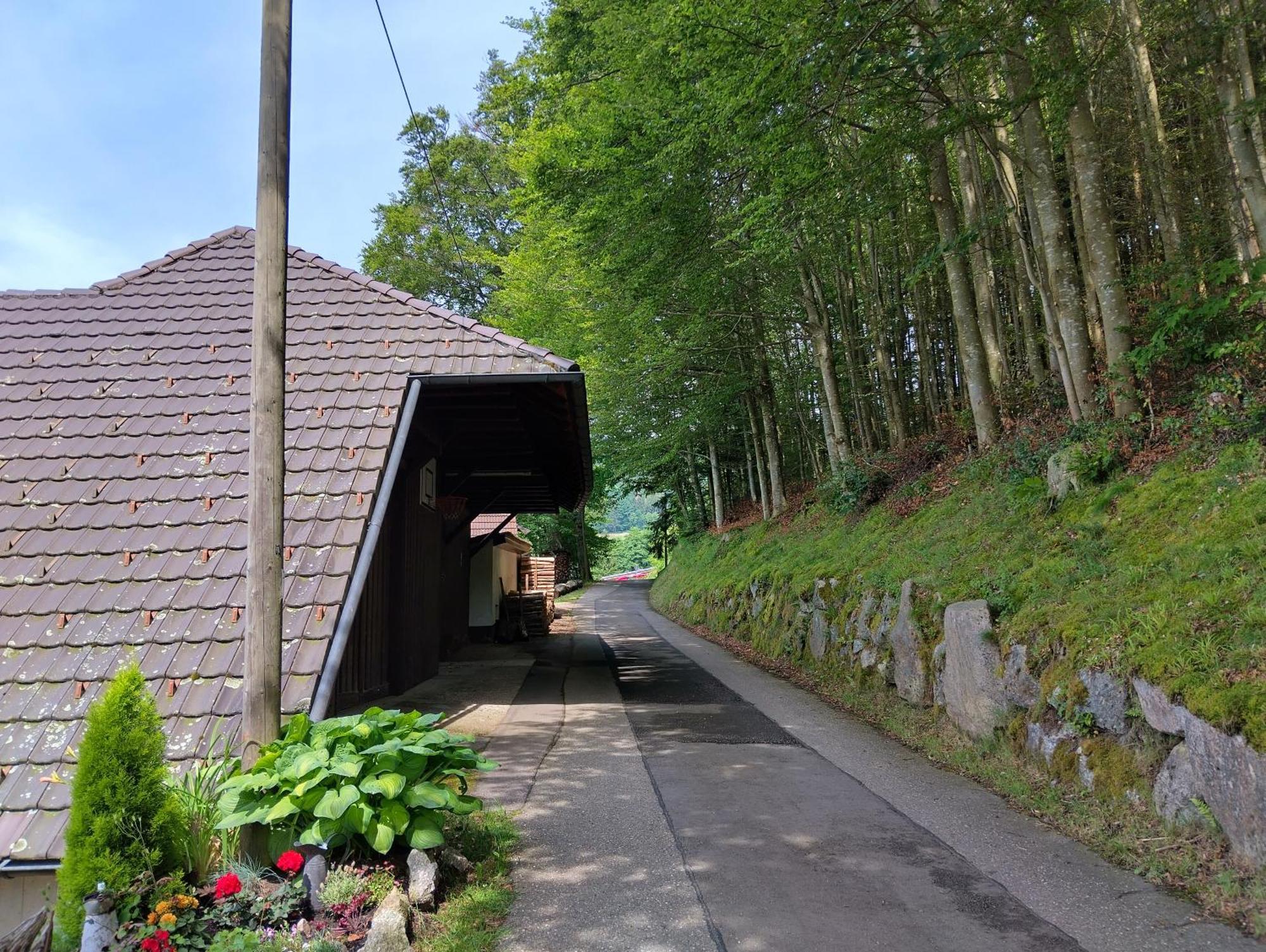 Haus "Guck - Ins - Tal" Apartment ซัสบาควัลเดิน ภายนอก รูปภาพ