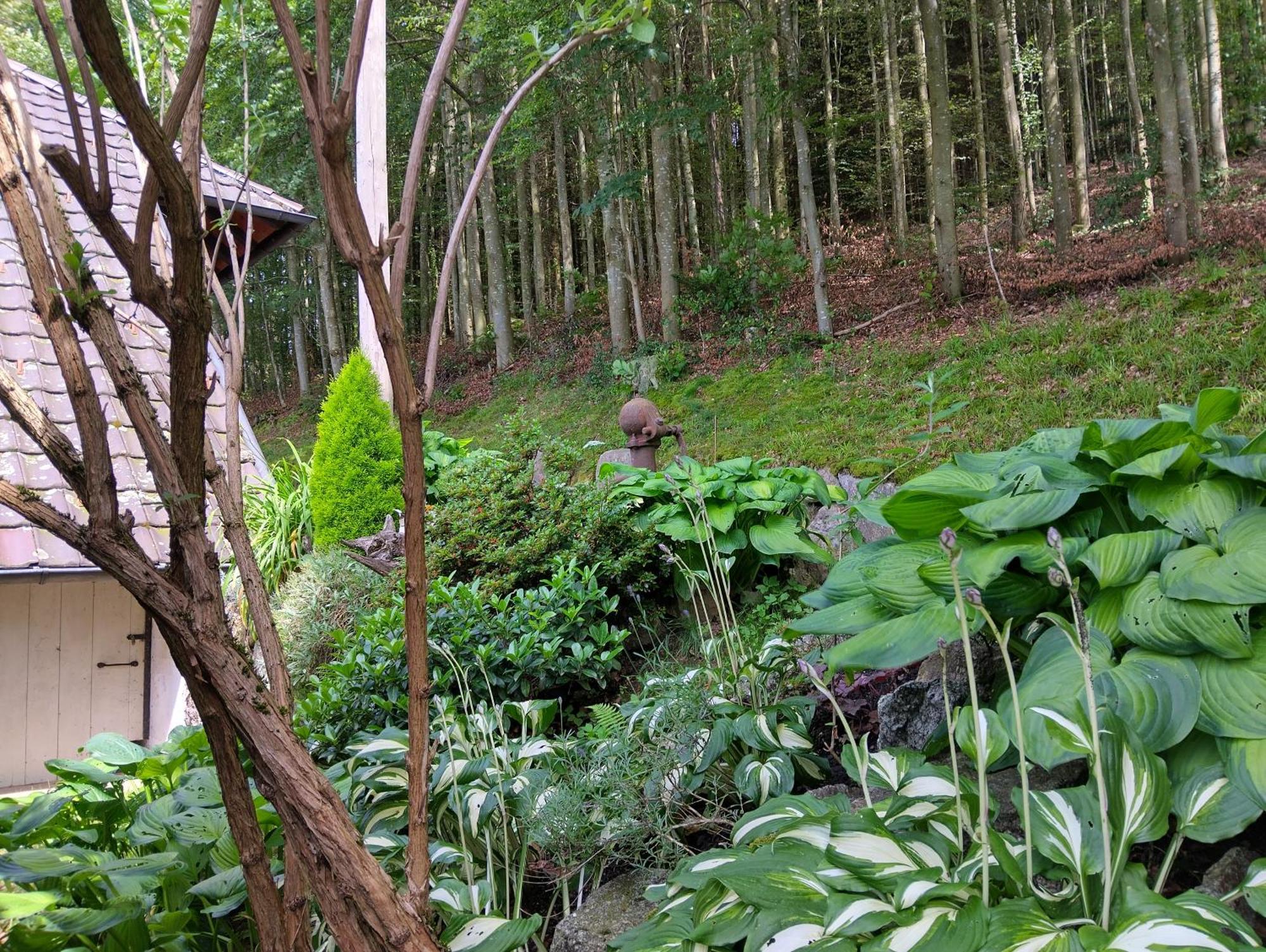 Haus "Guck - Ins - Tal" Apartment ซัสบาควัลเดิน ภายนอก รูปภาพ